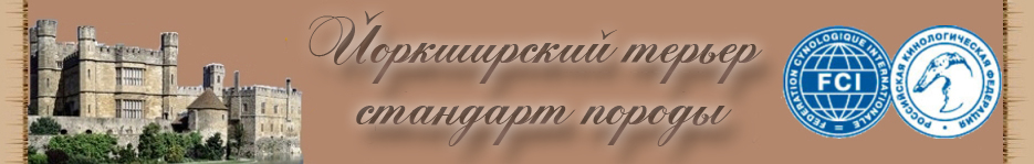 Йоркширский терьеры стандарт породы