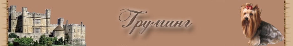 Йоркширские терьеры груминг