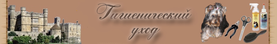 Йоркширские терьеры гигиенический уход
