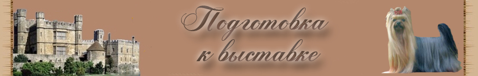 Йоркширский терьер подготовка к выставке