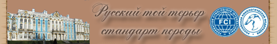 Русский той терьер стандарт породы