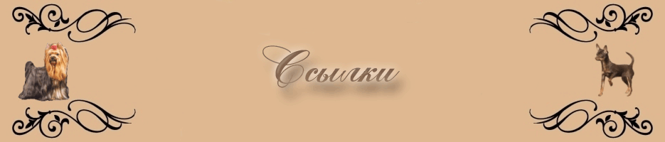 Ссылки